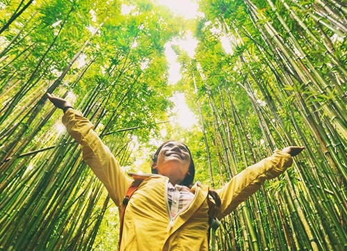 Bild zeigt eine Frau, die durch einem Wald geht.